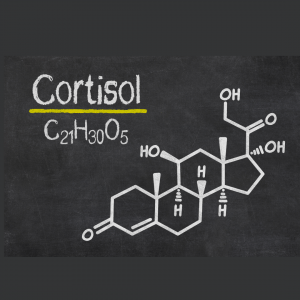 cortisol-stress